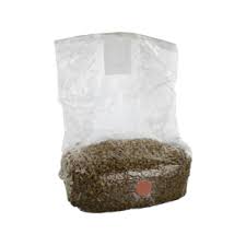 Rye grain Mushroom grow bag – Magic Mushroom substrate kit