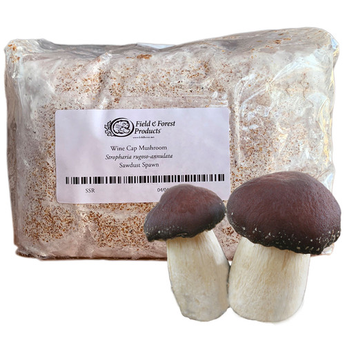 wine-cap-sawdust-spawn__23589 wine cap mushroom spawn