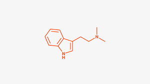 nn-dmt-for-sale